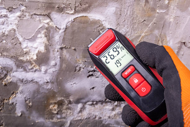 Best Kitchen Mold Remediation in Listoga, CA
