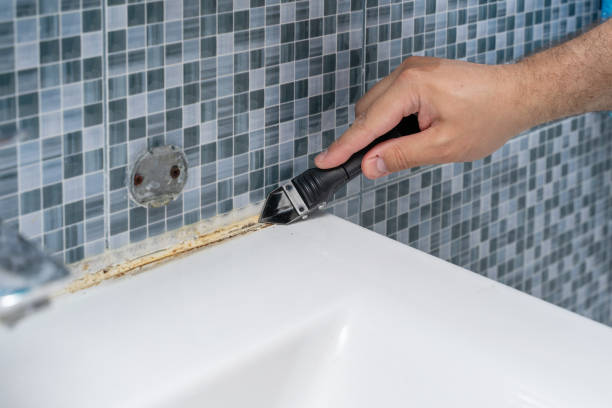 Best Insurance-Related Mold Remediation in Listoga, CA